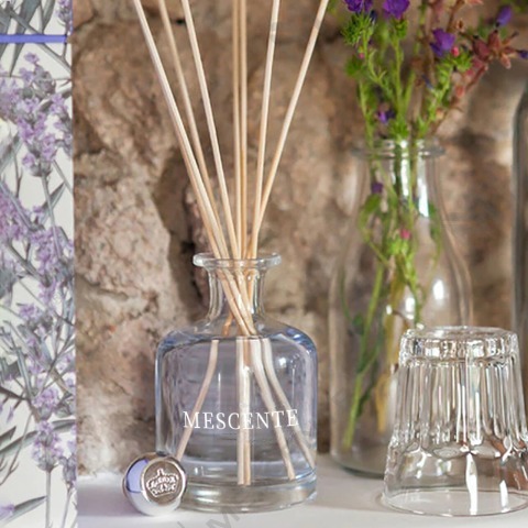 An Difríocht idir Difuser Reed Aroma agus Humidifier
